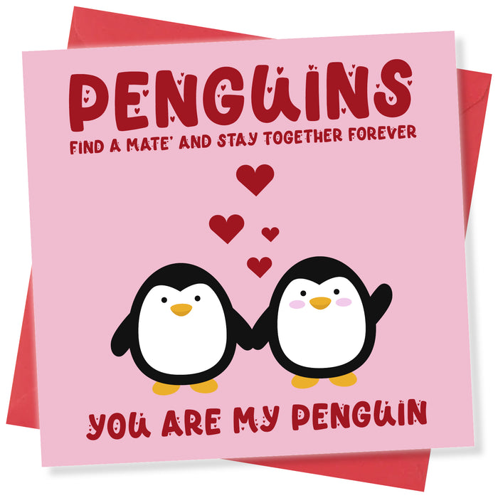 Penguins Find a Mate and Stay Together forever. You Are My Penguin