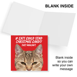 If cats could send christmas cards! They Wouldn’t