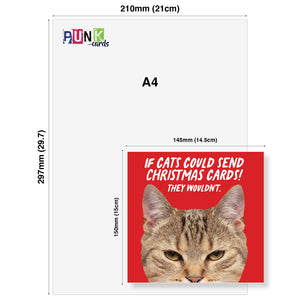 If cats could send christmas cards! They Wouldn’t