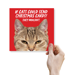 If cats could send christmas cards! They Wouldn’t